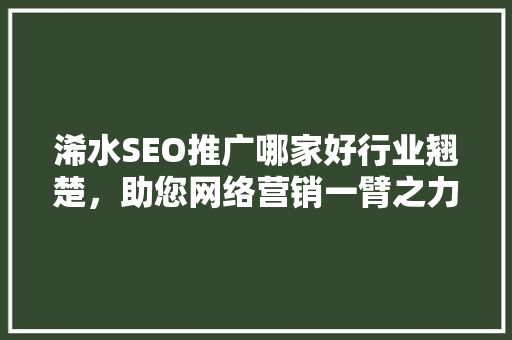 浠水SEO推广哪家好行业翘楚，助您网络营销一臂之力