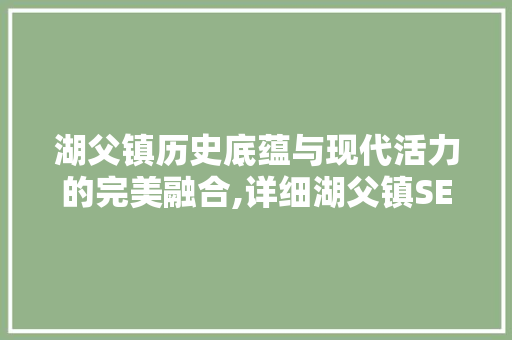 湖父镇历史底蕴与现代活力的完美融合,详细湖父镇SEO推广步骤