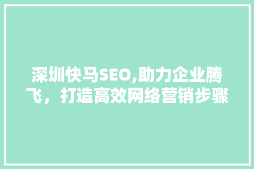 深圳快马SEO,助力企业腾飞，打造高效网络营销步骤