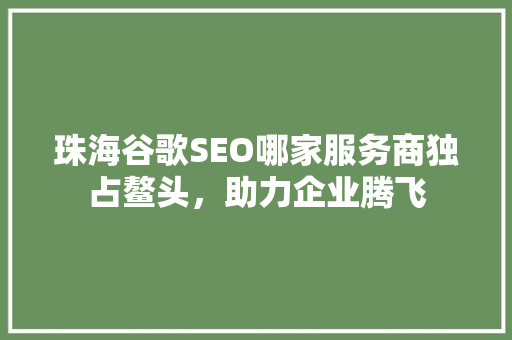 珠海谷歌SEO哪家服务商独占鳌头，助力企业腾飞