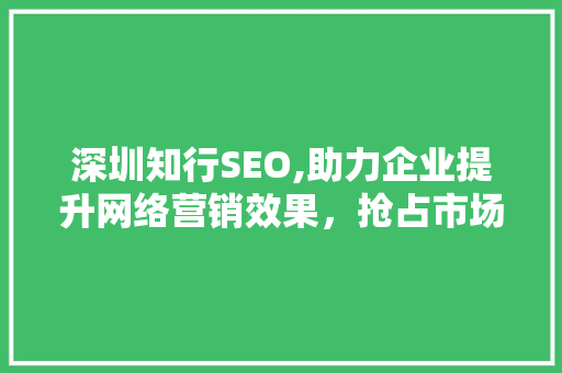 深圳知行SEO,助力企业提升网络营销效果，抢占市场先机