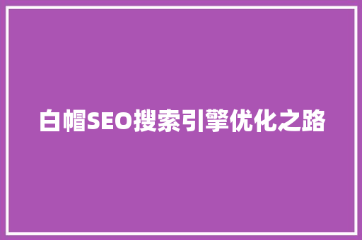 白帽SEO搜索引擎优化之路 SEO教程