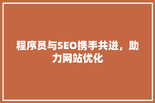 程序员与SEO携手共进，助力网站优化