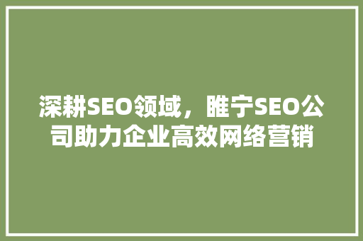 深耕SEO领域，睢宁SEO公司助力企业高效网络营销