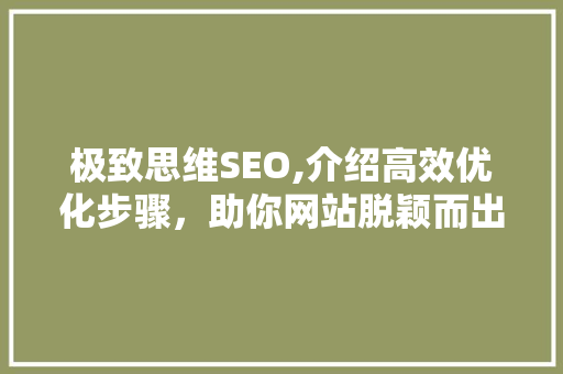 极致思维SEO,介绍高效优化步骤，助你网站脱颖而出