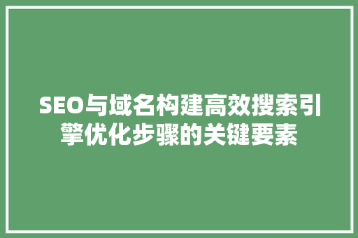 SEO与域名构建高效搜索引擎优化步骤的关键要素