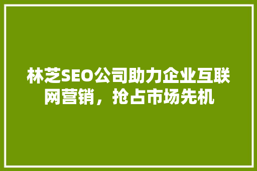 林芝SEO公司助力企业互联网营销，抢占市场先机