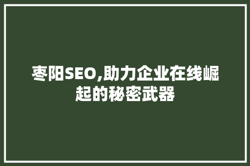 枣阳SEO,助力企业在线崛起的秘密武器