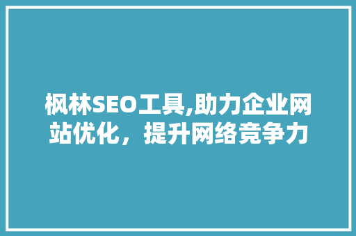 枫林SEO工具,助力企业网站优化，提升网络竞争力