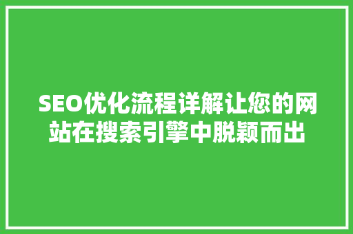 SEO优化流程详解让您的网站在搜索引擎中脱颖而出