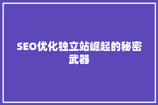 SEO优化独立站崛起的秘密武器