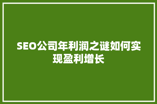 SEO公司年利润之谜如何实现盈利增长