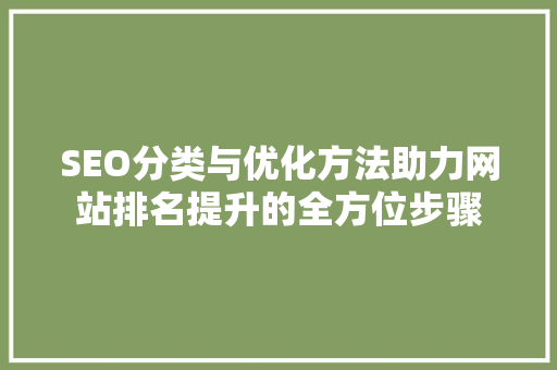 SEO分类与优化方法助力网站排名提升的全方位步骤