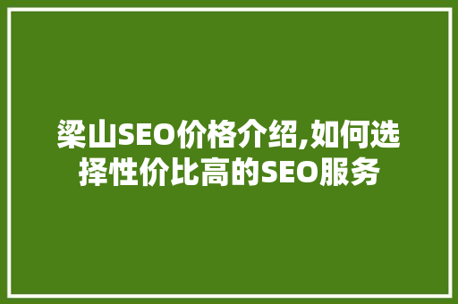梁山SEO价格介绍,如何选择性价比高的SEO服务