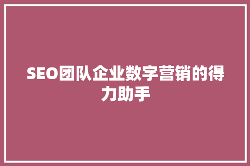 SEO团队企业数字营销的得力助手 WordPress教程