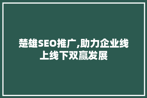 楚雄SEO推广,助力企业线上线下双赢发展