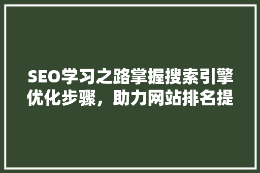 SEO学习之路掌握搜索引擎优化步骤，助力网站排名提升