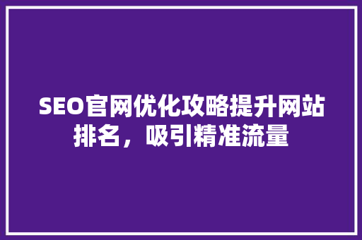 SEO官网优化攻略提升网站排名，吸引精准流量