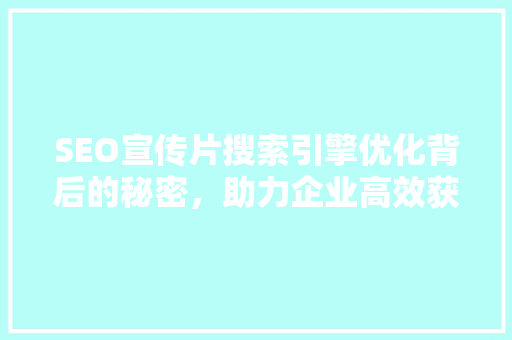 SEO宣传片搜索引擎优化背后的秘密，助力企业高效获客