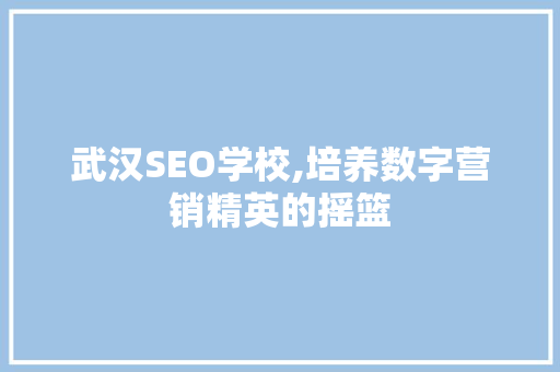 武汉SEO学校,培养数字营销精英的摇篮