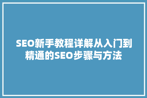 SEO新手教程详解从入门到精通的SEO步骤与方法 建站教程