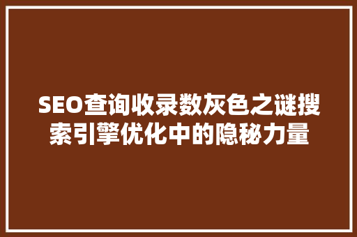 SEO查询收录数灰色之谜搜索引擎优化中的隐秘力量