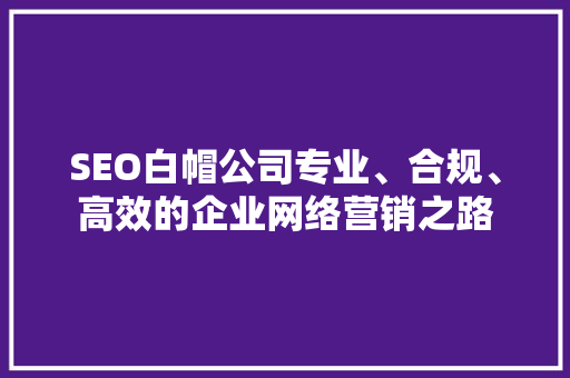 SEO白帽公司专业、合规、高效的企业网络营销之路