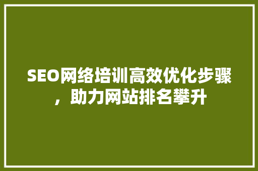 SEO网络培训高效优化步骤，助力网站排名攀升