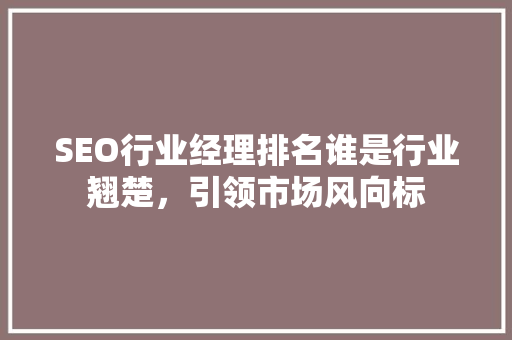 SEO行业经理排名谁是行业翘楚，引领市场风向标