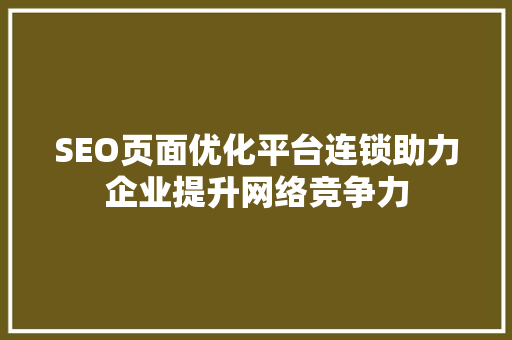 SEO页面优化平台连锁助力企业提升网络竞争力
