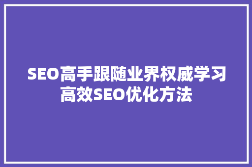 SEO高手跟随业界权威学习高效SEO优化方法