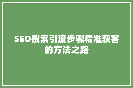 SEO搜索引流步骤精准获客的方法之路