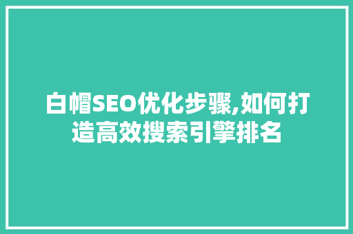 白帽SEO优化步骤,如何打造高效搜索引擎排名
