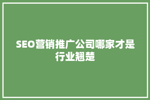 SEO营销推广公司哪家才是行业翘楚