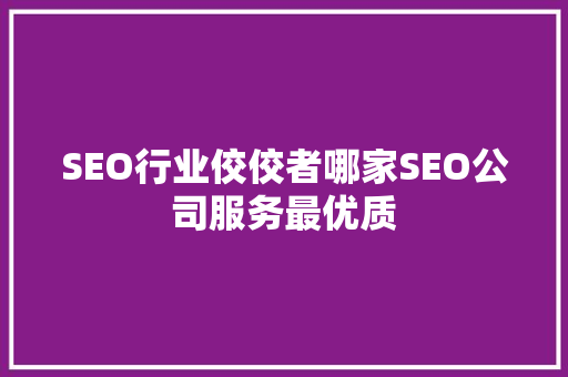 SEO行业佼佼者哪家SEO公司服务最优质