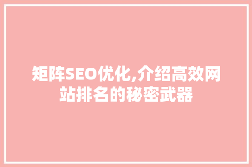 矩阵SEO优化,介绍高效网站排名的秘密武器