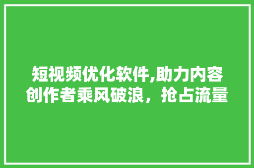 短视频优化软件,助力内容创作者乘风破浪，抢占流量高地
