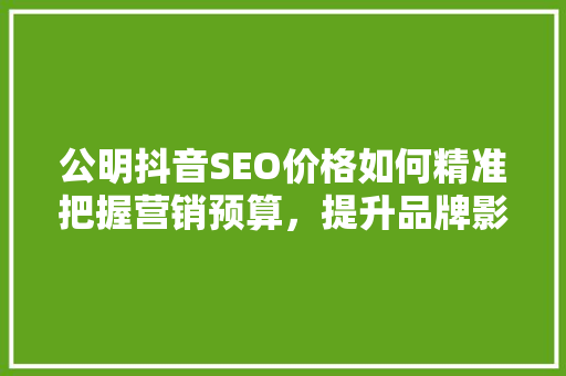 公明抖音SEO价格如何精准把握营销预算，提升品牌影响力
