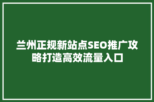兰州正规新站点SEO推广攻略打造高效流量入口