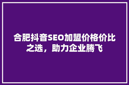 合肥抖音SEO加盟价格价比之选，助力企业腾飞