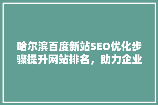 哈尔滨百度新站SEO优化步骤提升网站排名，助力企业腾飞 SEO教程