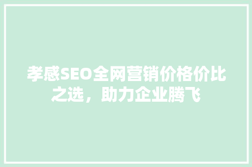 孝感SEO全网营销价格价比之选，助力企业腾飞