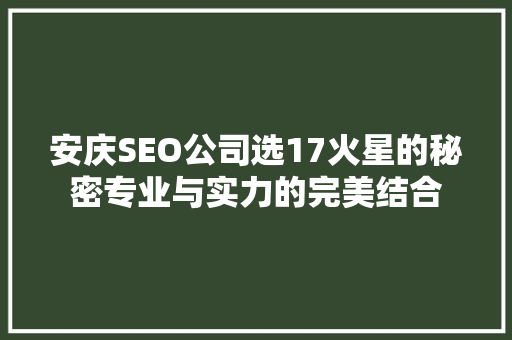 安庆SEO公司选17火星的秘密专业与实力的完美结合