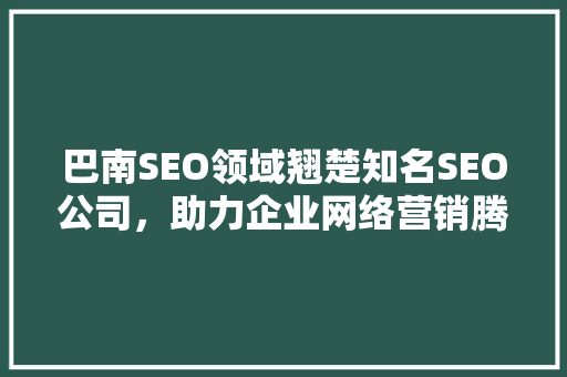巴南SEO领域翘楚知名SEO公司，助力企业网络营销腾飞