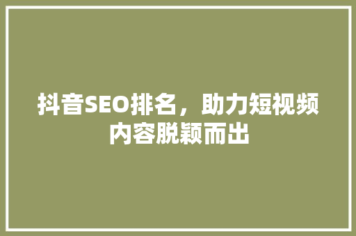 抖音SEO排名，助力短视频内容脱颖而出