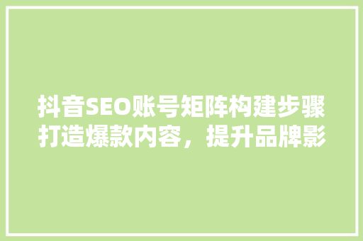 抖音SEO账号矩阵构建步骤打造爆款内容，提升品牌影响力 WordPress教程