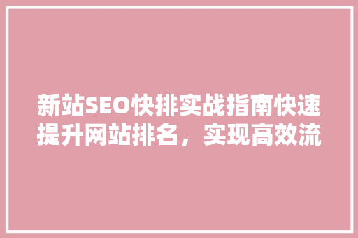 新站SEO快排实战指南快速提升网站排名，实现高效流量转化