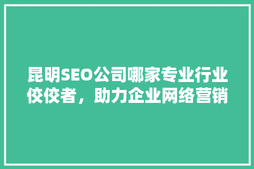 昆明SEO公司哪家专业行业佼佼者，助力企业网络营销腾飞