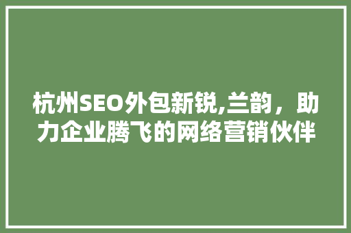 杭州SEO外包新锐,兰韵，助力企业腾飞的网络营销伙伴