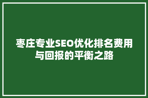 枣庄专业SEO优化排名费用与回报的平衡之路